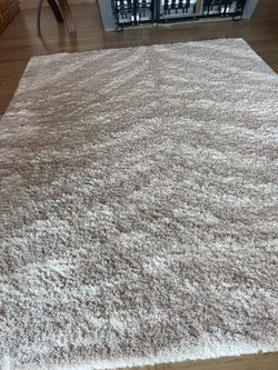 8x10 Shag Area Rug