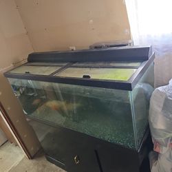 60 Galon Fish Tank 