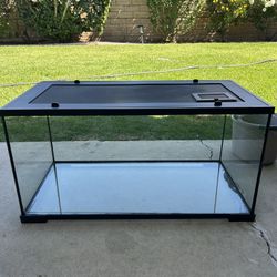 Reptile Tank