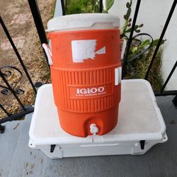 Igloo Cooler. 