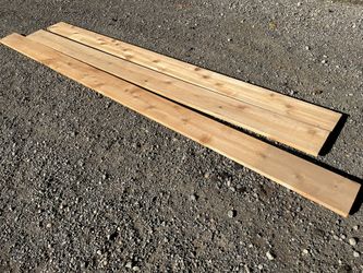 Cedar