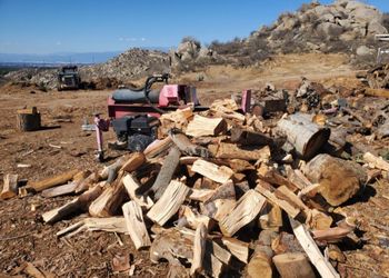 Firewood
