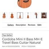 Mini Electric Acoustic bass 