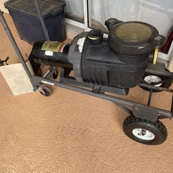 Hayward 3hp Pool Motor