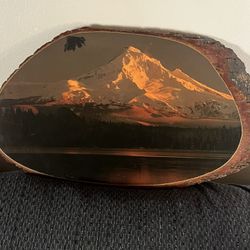 Snow Mountain Picture On Tree Trunk