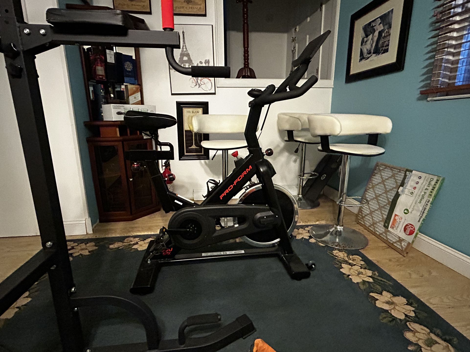 ProForm Exercise Bicycle 