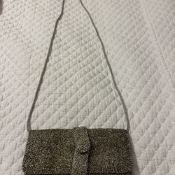 Cute Silver Purse 