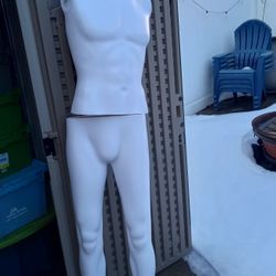 Complete Mannequin Head Arms Torso Legs