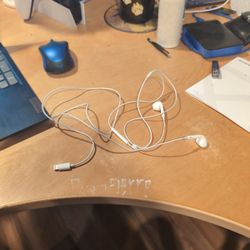 Apple iPhone Lightning Headphones $15