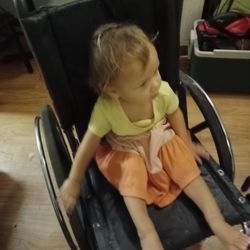 Wheel Chair 