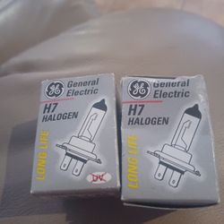 H 7 HALOGEN Set For One Price 