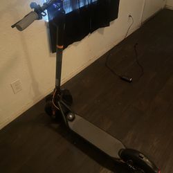 Ninebot Electric Scooter