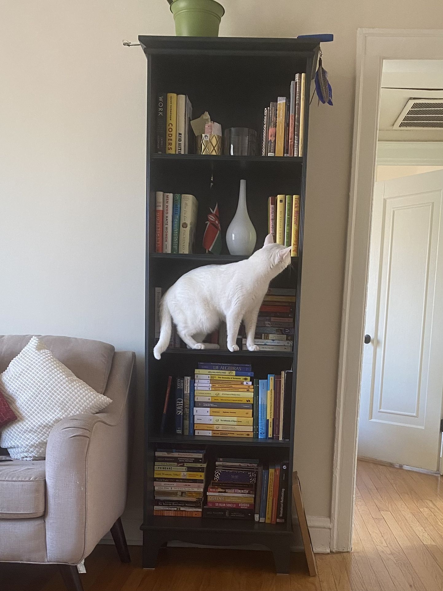 IKEA Lommarp Dark Green Bookcase