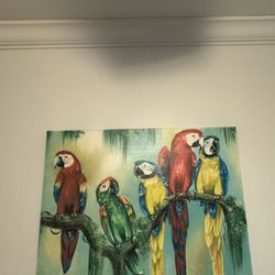 Macaw Parrot Canvas Wall Art