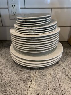 Dinner plates