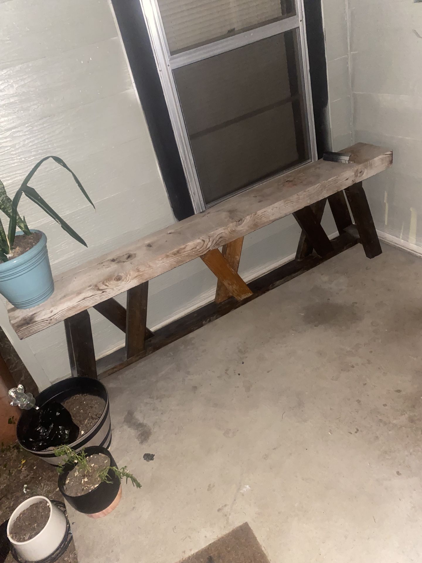 Plant Or Table 