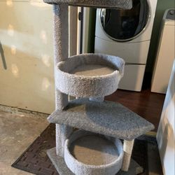Cat climbing tower