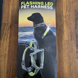 Dog Harness