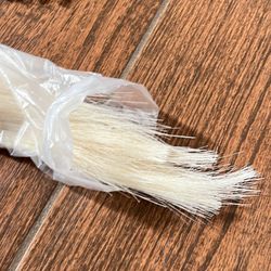 Pampas Grass