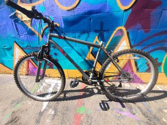 Roadmaster Mountain Bike