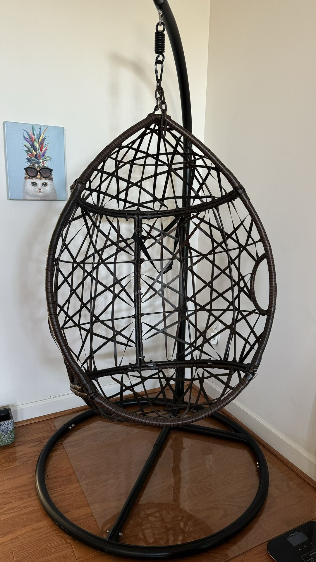 Hanging Egg Chair With Stand (Swing)
