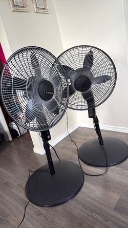 Standing fans