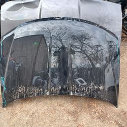 2009-20 Doge Journey Hood