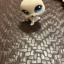 Littlest Pet Shop ~ #555 ~ Seal ~ White-grey ~ Heart chest ~ Blue heart eyes ~ Valentine's Day