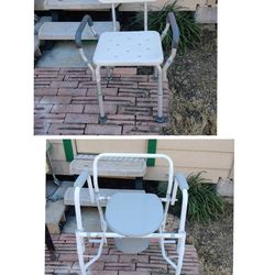 Adult Deluxe Potty Chair And Shower Chair $50 Each/$80 For Both