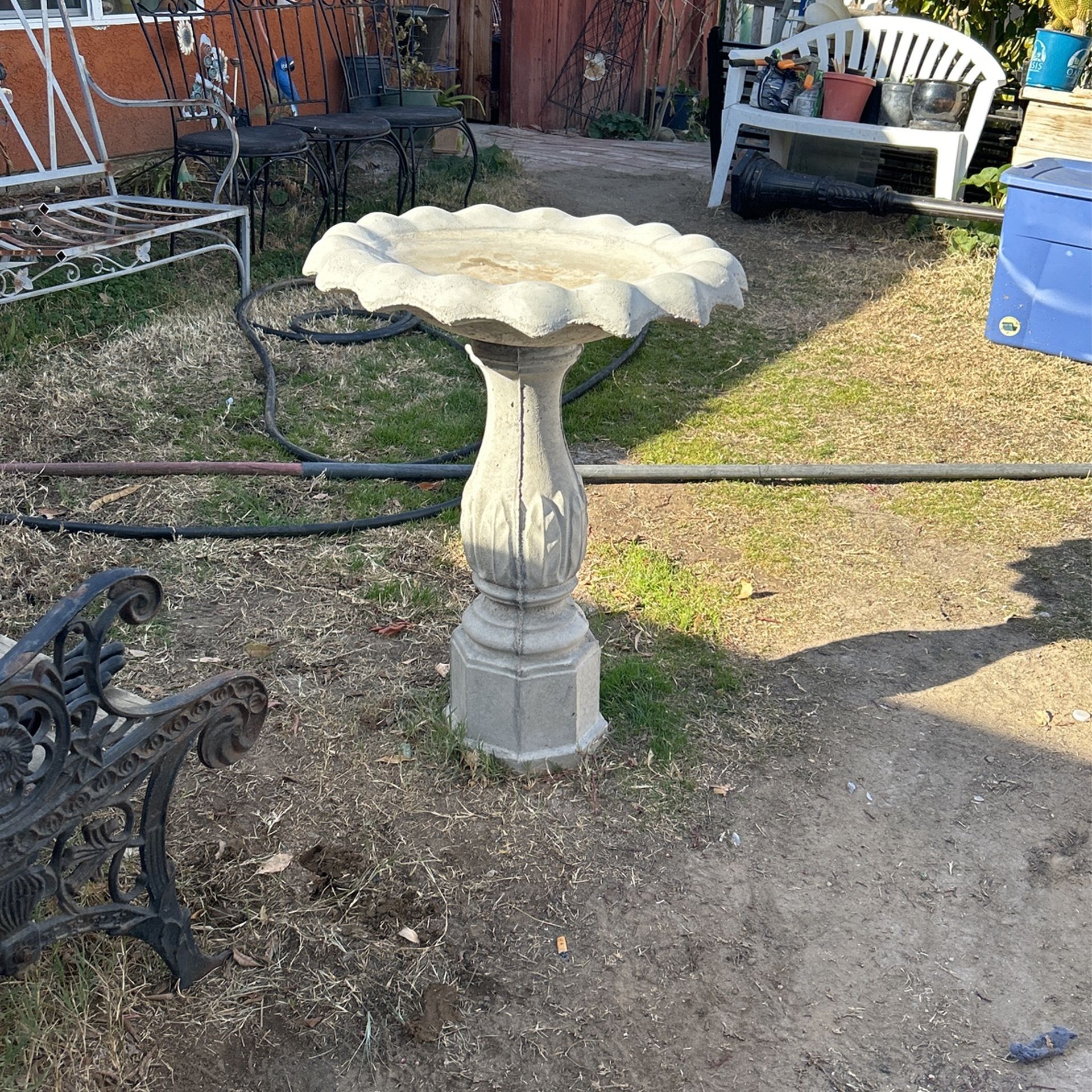Bird Bath