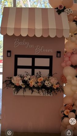 Baby In Bloom Back Drop