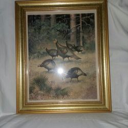 Wild Turkey Print