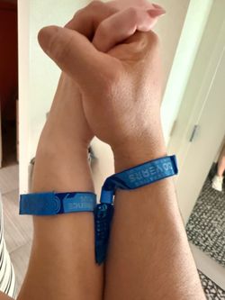 2 Wristband - sunday + plus premier parking