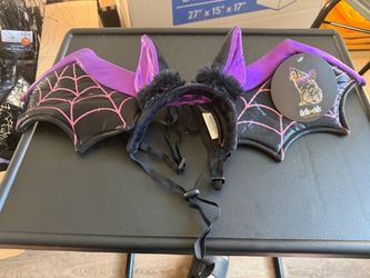 Halloween Dog Costumes – Wednesday Addams, Bat & Witch