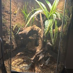 2 Hexagon Custom Background Enclosures. 