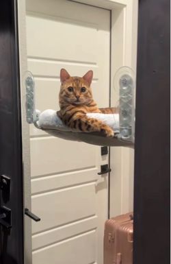 Cat Hammock Window Perch 24" by 15"