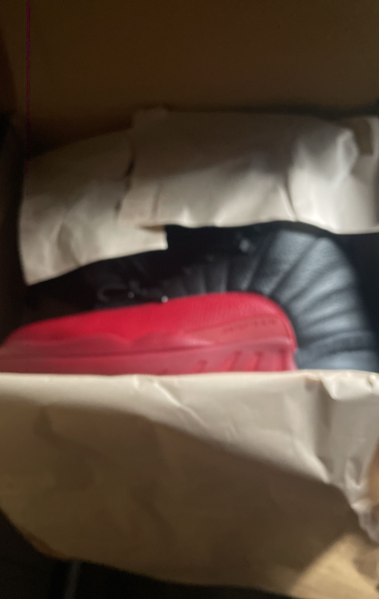 Jordan’s Flu Games 12s