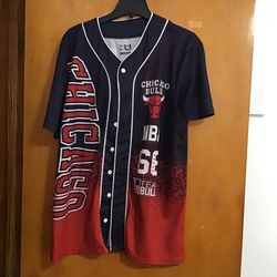 Chicago Bulls Jersey, Number 66