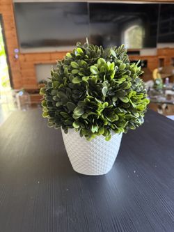 Artificial Plant Decoration