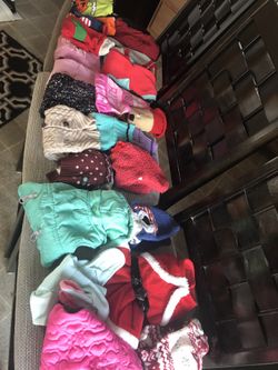 Assorted Dog clothes