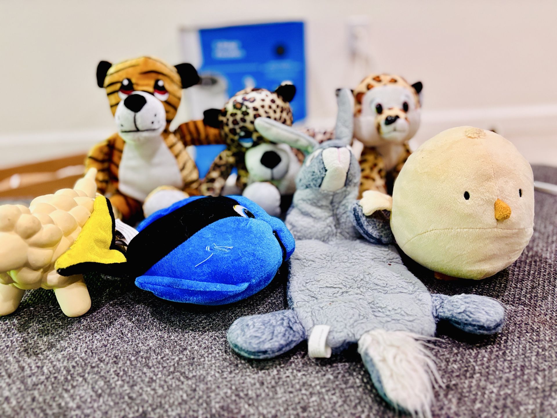Plush, Squeaky Dolls All for 10$