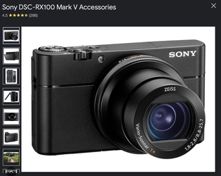 Sony Cyber-shot DSC-RX100 V Digital Camera