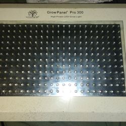 Grow Light 