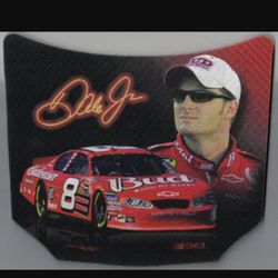 NEW Dale Earnhardt Jr. Mouse Pad