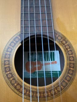 Classical Giannini Guitar 