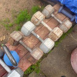 Two Sets Of 30 Pound Octagon Dumbbells