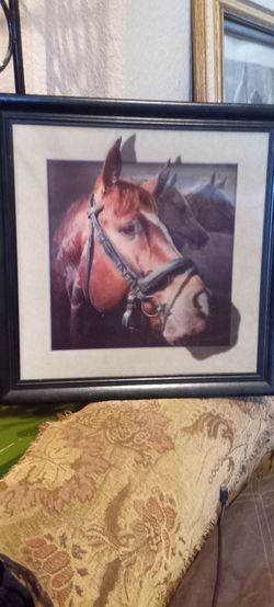 3D Horse Picture