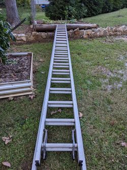 Louisville 40 ft Extension Ladder — AE2240, Type IA, 300 lb