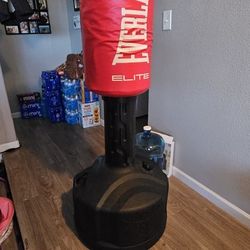 everlast boxing punching bag