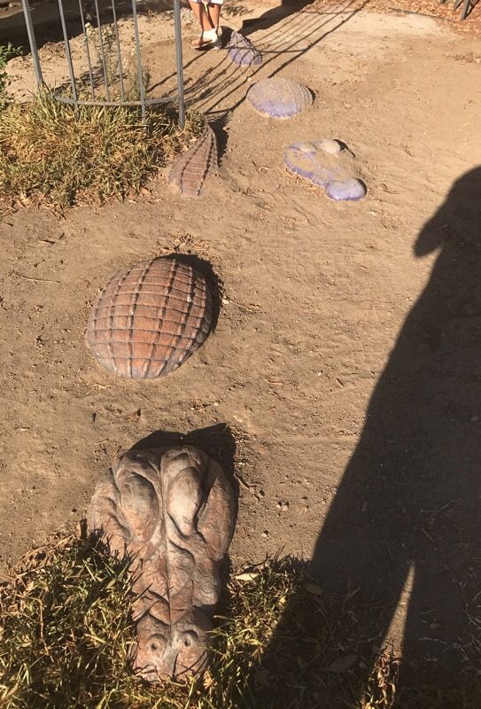 Cement alligator pavers